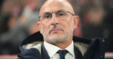 Luis de la Fuente Spain coach World Cup squad update